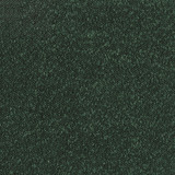 1260GN swatch