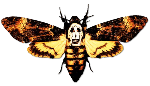 Chroma Key Export 1784486788696.png
