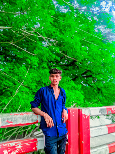 43301.jpg
