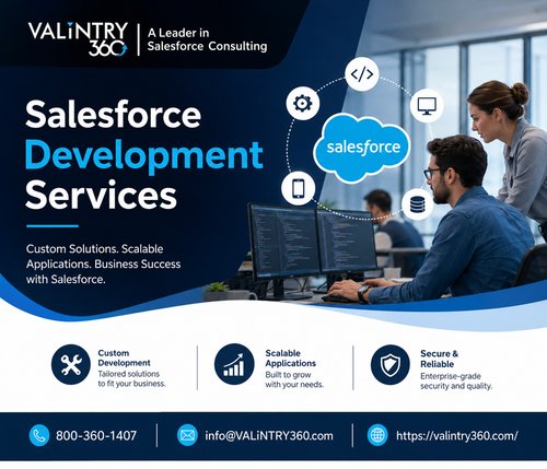 Salesforce Development Services.png
