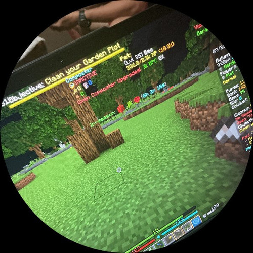 image.jpg