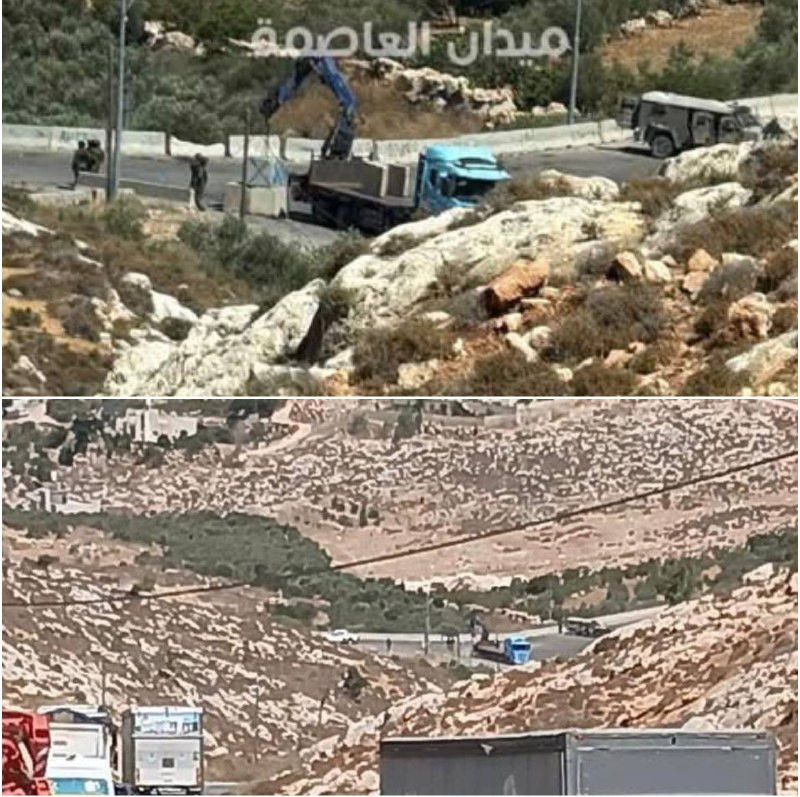 صورة الخبر
