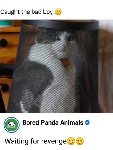 image 2026 07 21T155459.981.png
