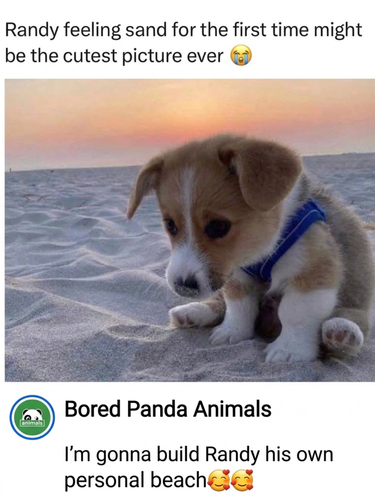 image 2026 07 21T155450.570.png