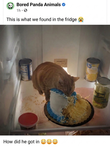 download 2026 07 21T155507.485.png