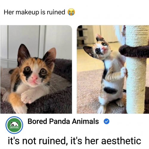 image 2026 07 21T155515.110.png