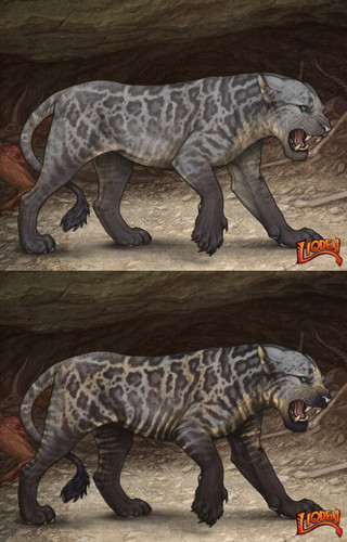 23882.jpg