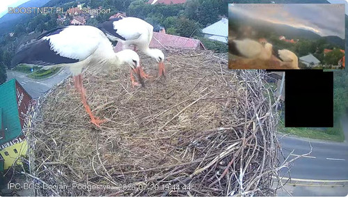 MWSnap631.jpg