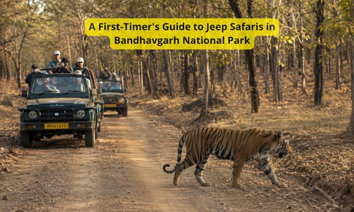 jeep safari in bandhavgarh national park.jpg