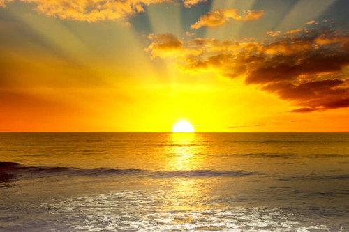 istockphoto 1205289672 612x612.jpg