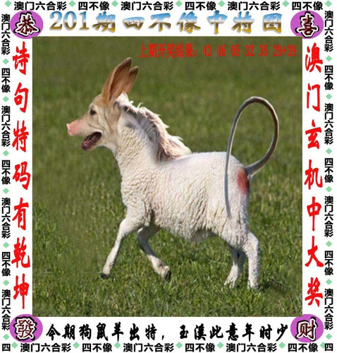 amsbx.jpg