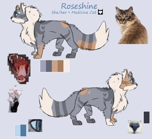 Roseshine Ref.png