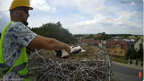 MWSnap436.jpg