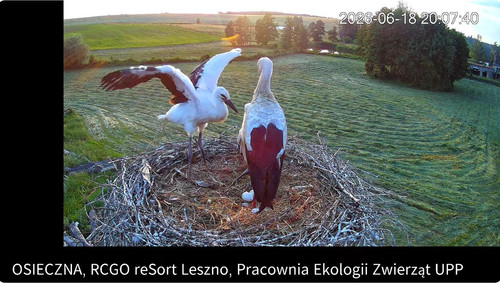 MWSnap484.jpg