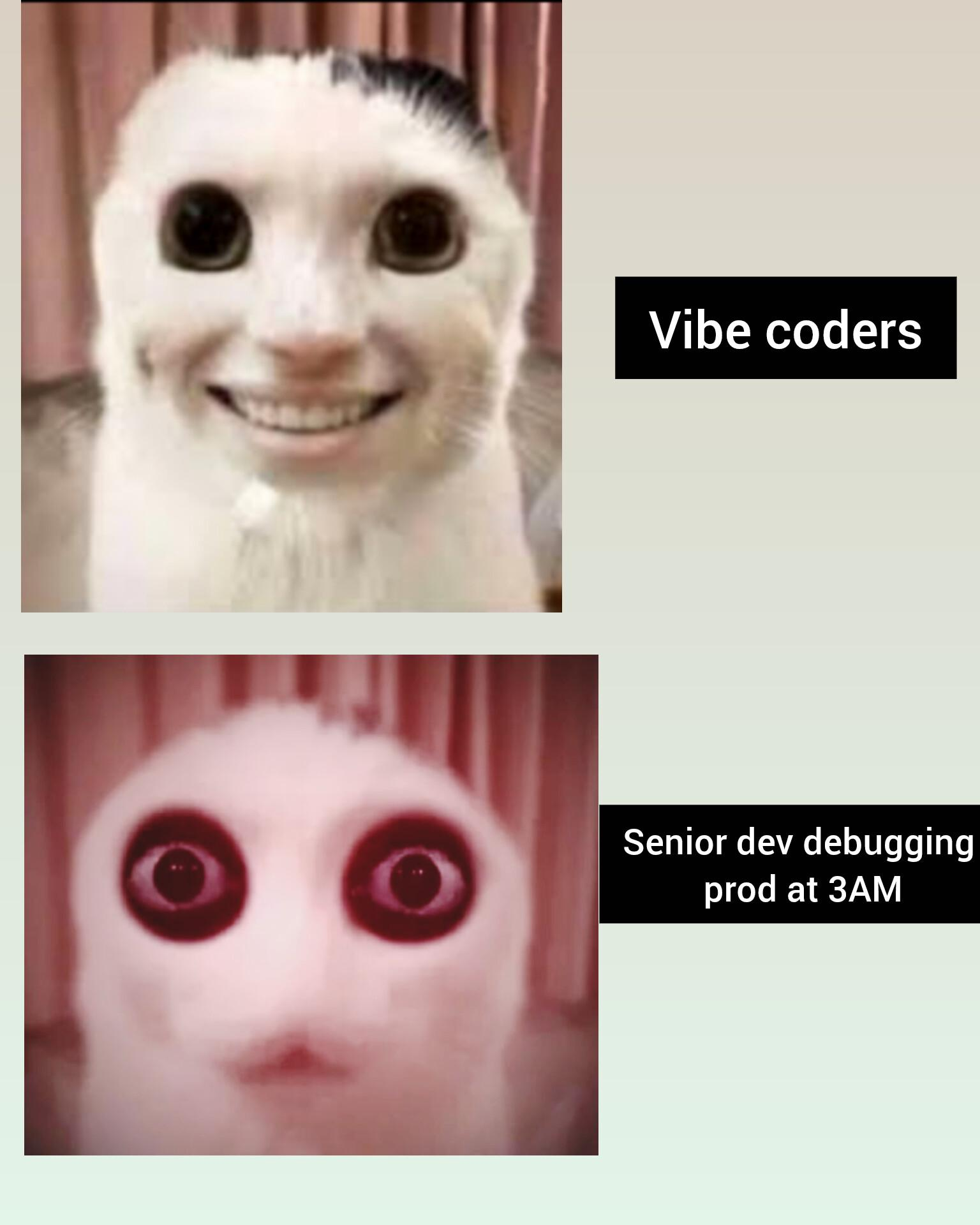 程序员 reaction:Seniordevdebugging