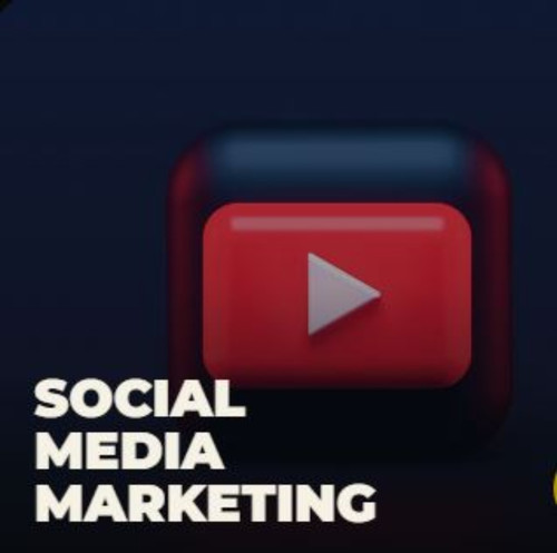 seo company delhi | seo services delhi  ||.jpg