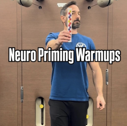 Aaron training resource showing brain-based movement and nervous system education