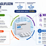httpswww.24lifesciences.com 2026 06 19T145030.182