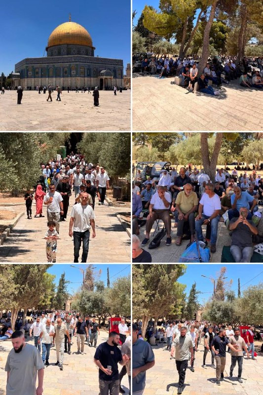 صورة الخبر