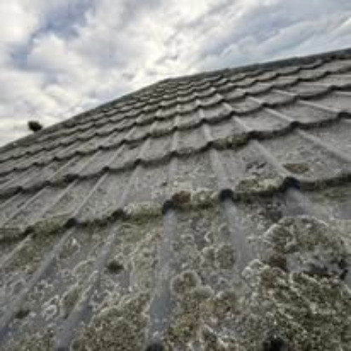 gutter cleaning christchurch.jpg