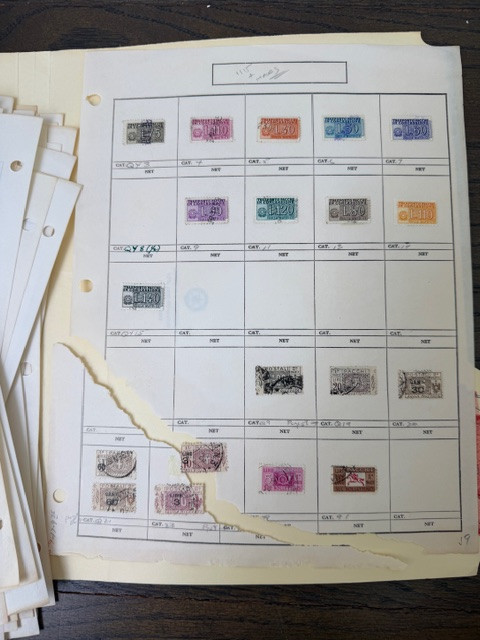 IMG 9526.jpg