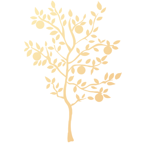 Plain And Precious Publishing logo