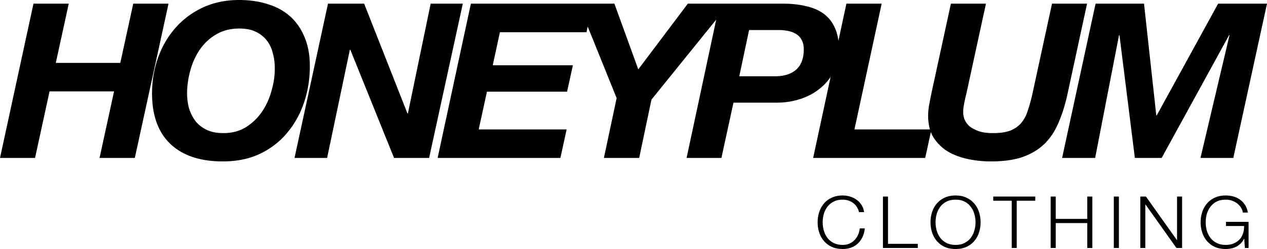 HoneyPlum Clothing logo