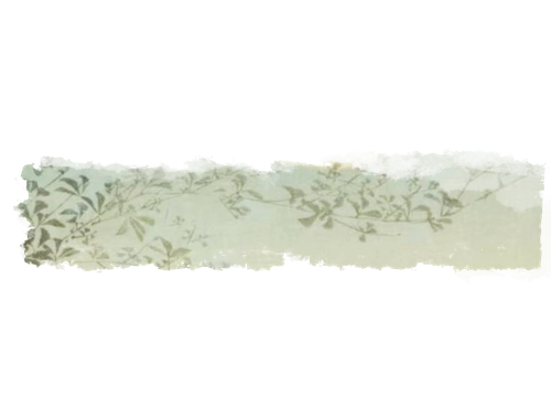 新清淡顶栏.png