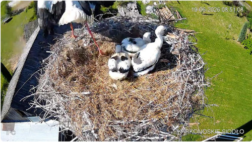 MWSnap632.jpg