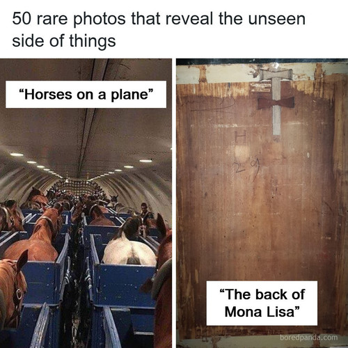 fascinating rarely seen things.jpg