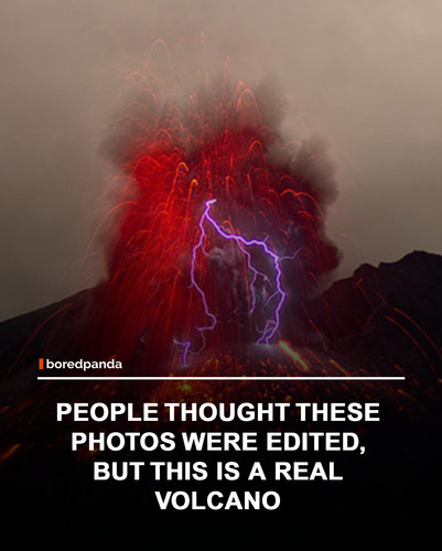 img facts (2).jpg