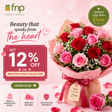 FNP 7