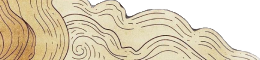 cloud (1).png