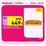 Magnum 1440x1440 1 tov 2026 06 18T095936.759