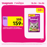 Magnum 1440x1440 1 tov 2026 06 18T095855.313