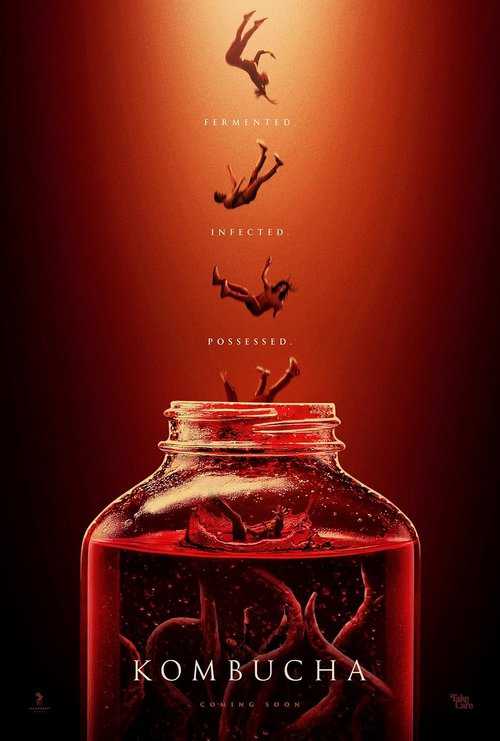 Kombucza / Kombucha (2025) PL.1080p.WEB-DL.H.264-OzW / Lektor PL