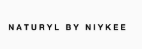 Naturyl By Niykee logo