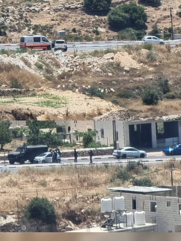 صورة الخبر