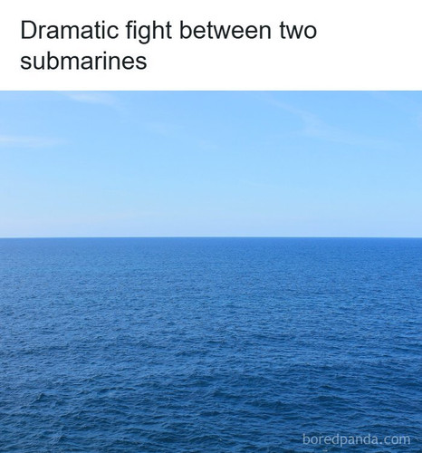 random memes.jpg