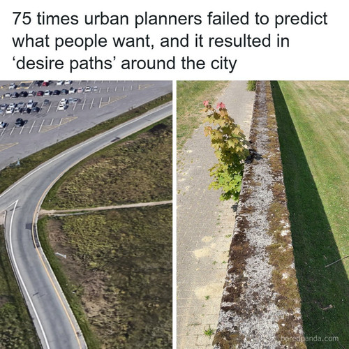 paths pictures.jpg