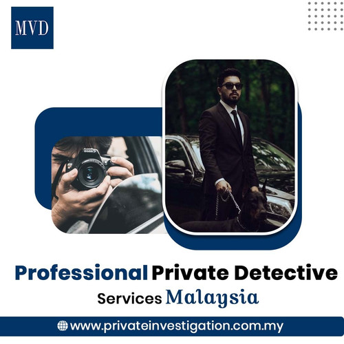 Professional Private Detective Services Malaysia.jpg