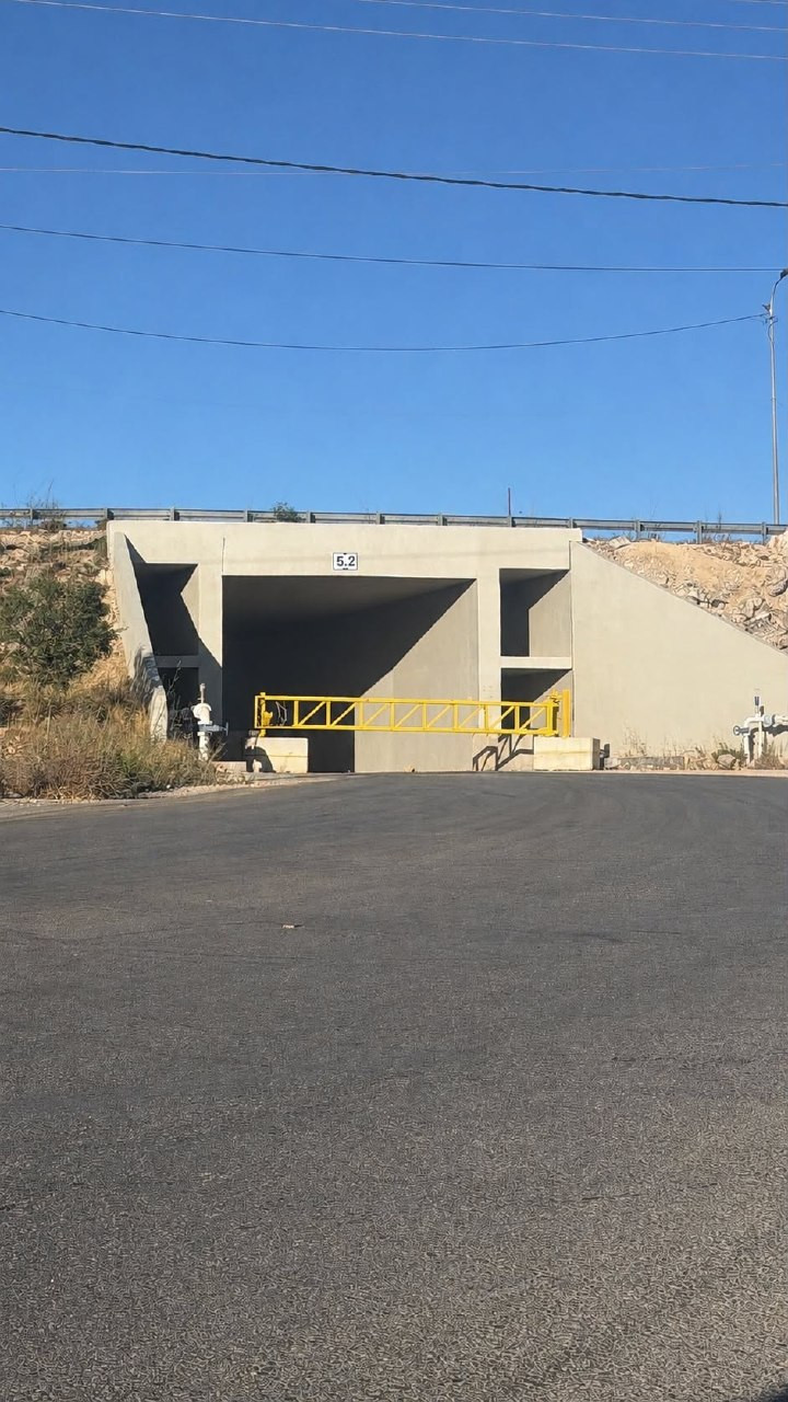 صورة الخبر