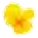 f29fdf4d