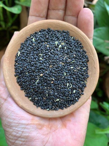basil.jpg