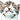 c5907009.gif