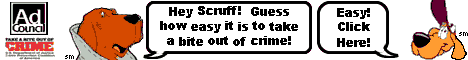 banner 17.gif