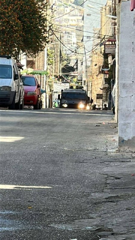 صورة الخبر