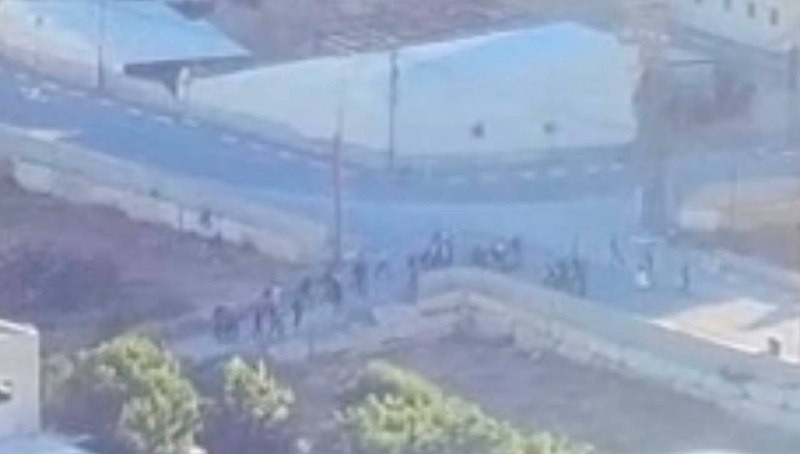 صورة الخبر