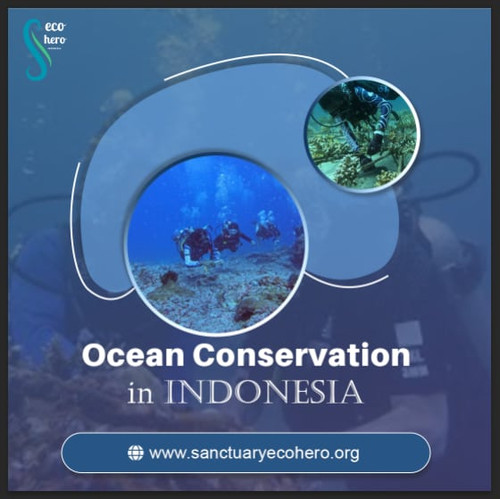 Ocean Conservation in Indonesia.jpg