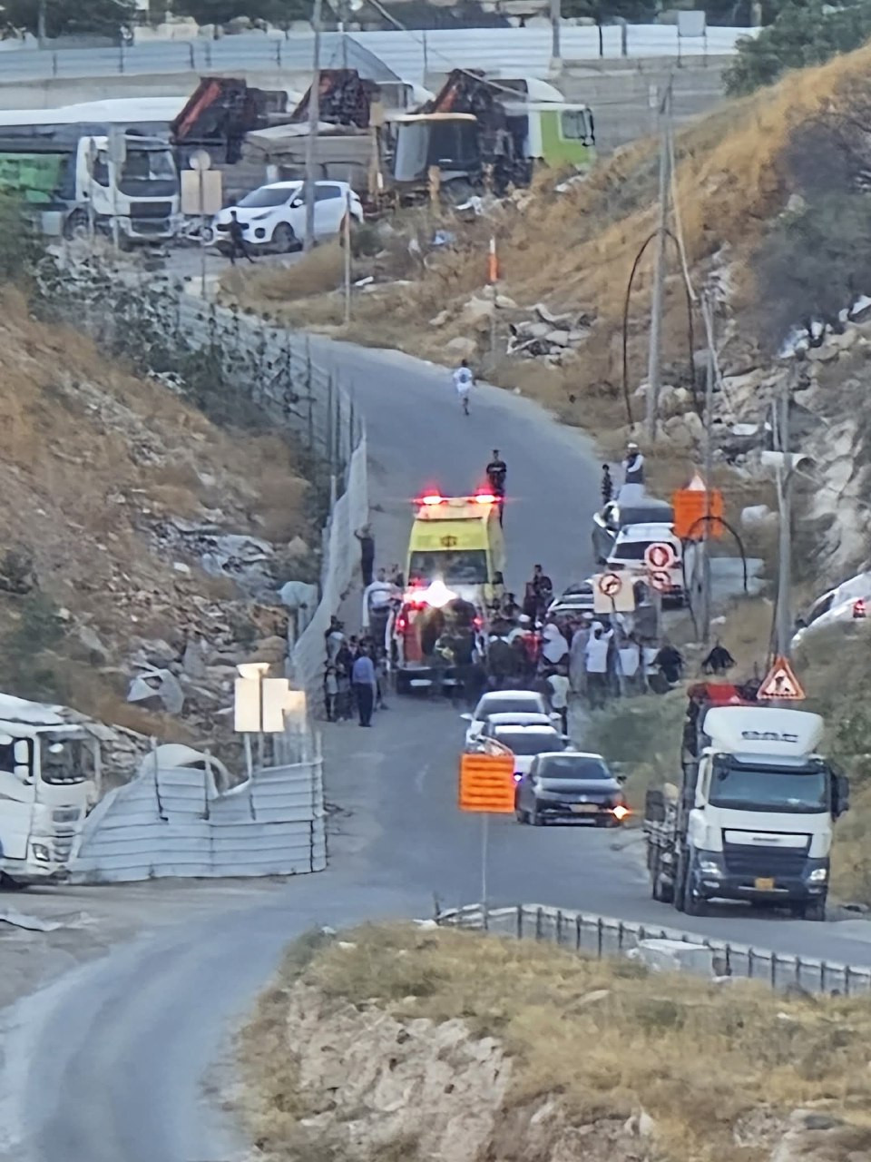 صورة الخبر